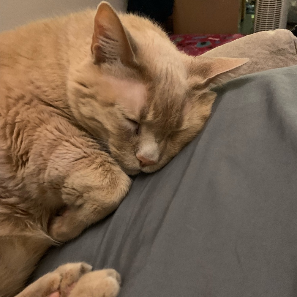 Meet your Posher, Keely